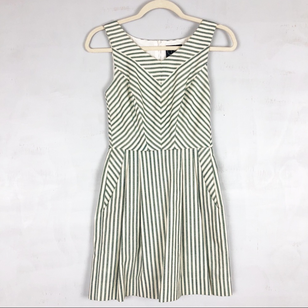 Birds of North America Fit and Flare Striped Dress